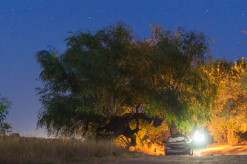 Fototapeta premium camping at night stars