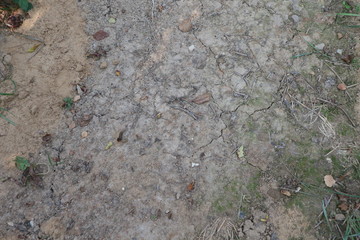 Dry dirt texture