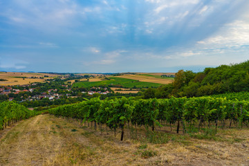 Fototapeta na wymiar schöner Abendhimmel über Weinreben und Dörfer. Standort: Deutschland, Rheinland-Pfalz