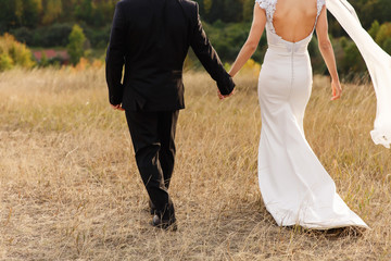 Wedding couple. Bride and groom holding hands and walking at wedding day