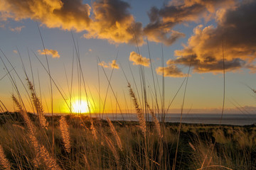 Fototapeta premium Island of Hawaii Beautiful sunset