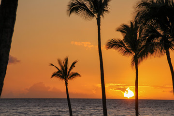  Island of Hawaii　Beautiful sunset
