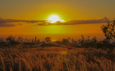  Island of Hawaii　Beautiful sunset