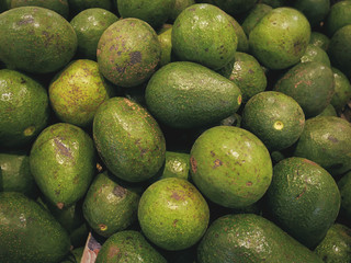 Full Frame Background of Pile of Fresh Green Avocado Fruits