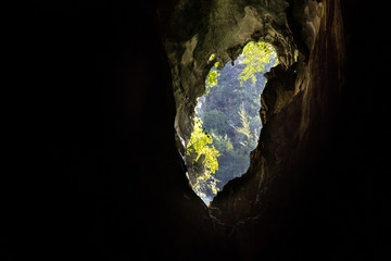 Cave sky roof sink hole within the Niah National Park