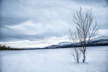 Kungsleden Winterwanderweg in Lappland - Schweden