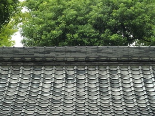 雨の日の神社の屋根と樟