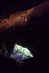 Ceiling spouts known as Adam and Eve at Deer Cave.