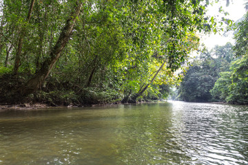 Scenic Merlinau river provides logistic access at Mulu National Park