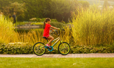 Obraz premium Child riding bike. Kid bicycle in sunny park. Little girl enjoying bike ride on her way to school warm summer day. Preschooler learning to balance bicycle Sport for kids.