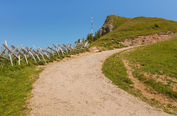 Fototapeta na wymiar Summit of Mt. Rigi in Switzerland in summer