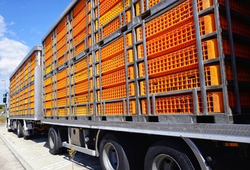 trucks for transporting live animals