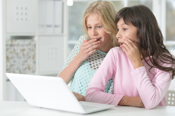 Portrait of two cute girls using laptop