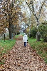 autumn walking