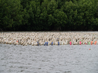 Fototapeta premium Oyster farm by hanging with plastic bottle, Kung Krabean Bay, Thailand