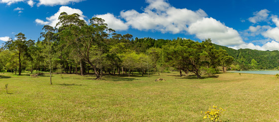 Fototapeta premium panorama parku rekreacyjnego na azorach san miguel