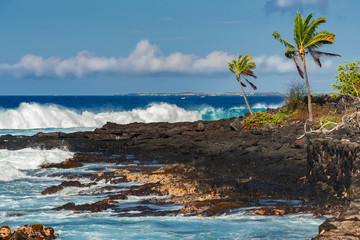 costal view of big island hawaii with waves lava rocks and palm trees