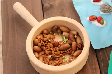 秋の木の実たち