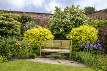 Three seater wooden bench in summer garden full of flowering plants and shrubs.