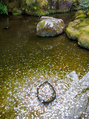 Wide close-up of a clear pond with green mossy stones covered with multiple coins in a Zen garden pond. Vertical orientation. Kyoto, Japan. Travel and nature. - 220646919