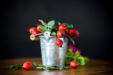 Ripe red briar berries on a branch