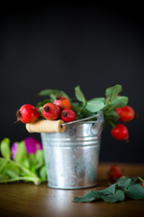 Ripe red briar berries on a branch
