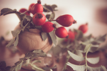 Ripe red briar berries on a branch
