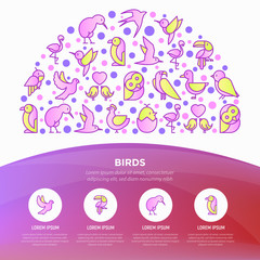 Birds concept in half circle with thin line icons set: dove, owl, penguin, sparrow, swallow, kiwi, parrot, eagle, humming bird, pink flamingo. Modern vector illustration, print media template.