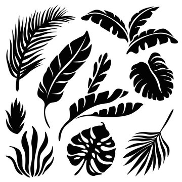 tropical leaves silhouette set