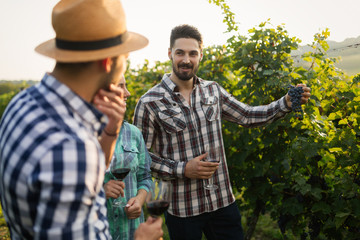 Wine grower and people in vineyard