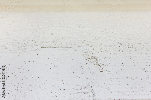 Grunge Rustic Wooden Texture Background With Painted White Wood Panel Wall Pattern Of Pale Light Grunge Rustic Wooden Texture Background With Painted White Wood Panel Wall Pattern Of Pale Light