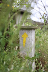 gelber Pfeil am Camino del Norte mit Beginn in Irun