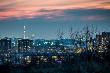 Obraz premium unscharfe stadtlandschaft mit fernsehturm hinter silhoette eines busches