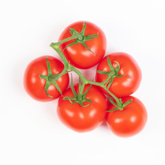 red tomatoes on a green branch