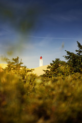 Landscape panorama view of sand dunes with grass and lighthouse in summer light .Rubjerg Knude Lighthouse, Lønstrup in North Jutland in Denmark, Skagerrak, North Sea