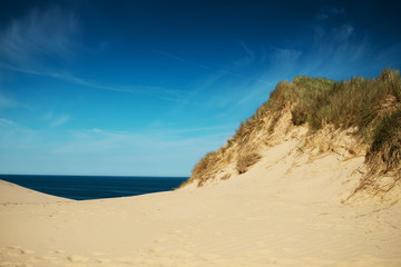 Fototapeta na wymiar Landscape nature sand dunes with grass and sand texture in summer and bright light. Rubjerg Knude Lighthouse, Lønstrup in North Jutland in Denmark, Skagerrak, North Sea