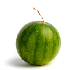 Large ripe watermelon on  isolated background