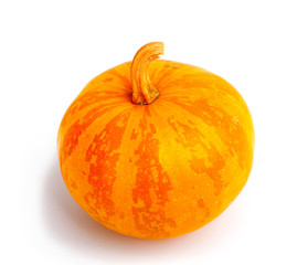 Pumpkin on isolated white background. Fresh, orange