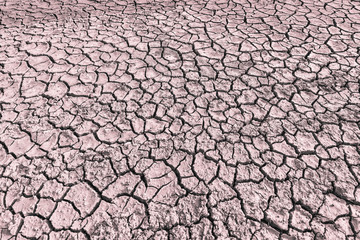 The parched farmland Small seedlings are dying to die.