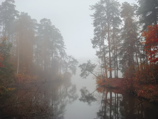 Foggy dawn, autumn scene in the colorful forest, leaves under water of pond, morning haze