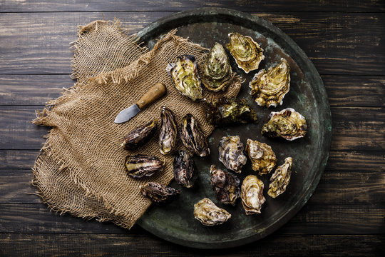 Assorted fresh Oysters, and knife in tray on dark background