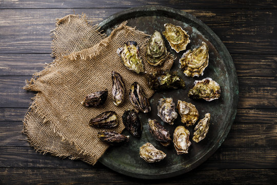 Assorted fresh Oysters in tray on dark background