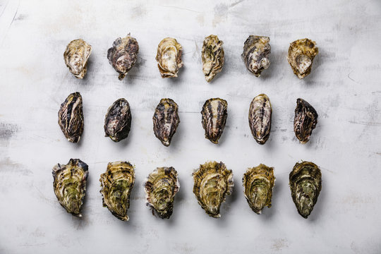 Assorted fresh Oysters on light background
