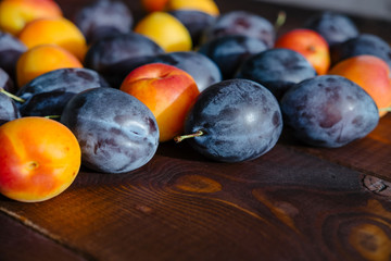 Plums and apricots