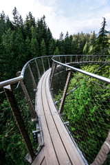 Fototapeta premium Capilano Suspension Bridge