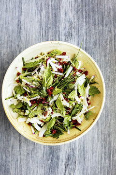 Fennel Herb Salad with Italian Style Salsa Verde. Photographed on a b;ack/grey background.