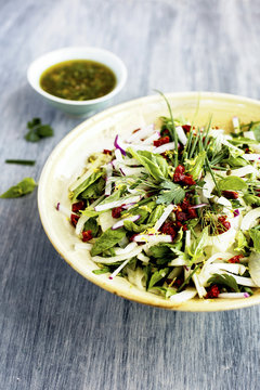 Fennel Herb Salad with Italian Style Salsa Verde. Photographed on a b;ack/grey background.