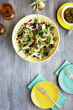 Fennel Herb Salad with Italian Style Salsa Verde. Photographed on a b;ack/grey background.