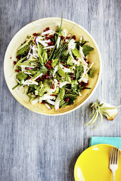 Fennel Herb Salad with Italian Style Salsa Verde. Photographed on a b;ack/grey background.
