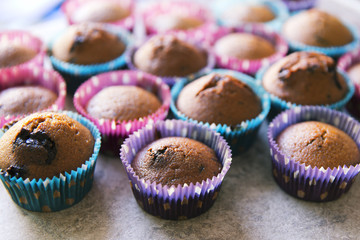 Homemade muffins with chocolate chips